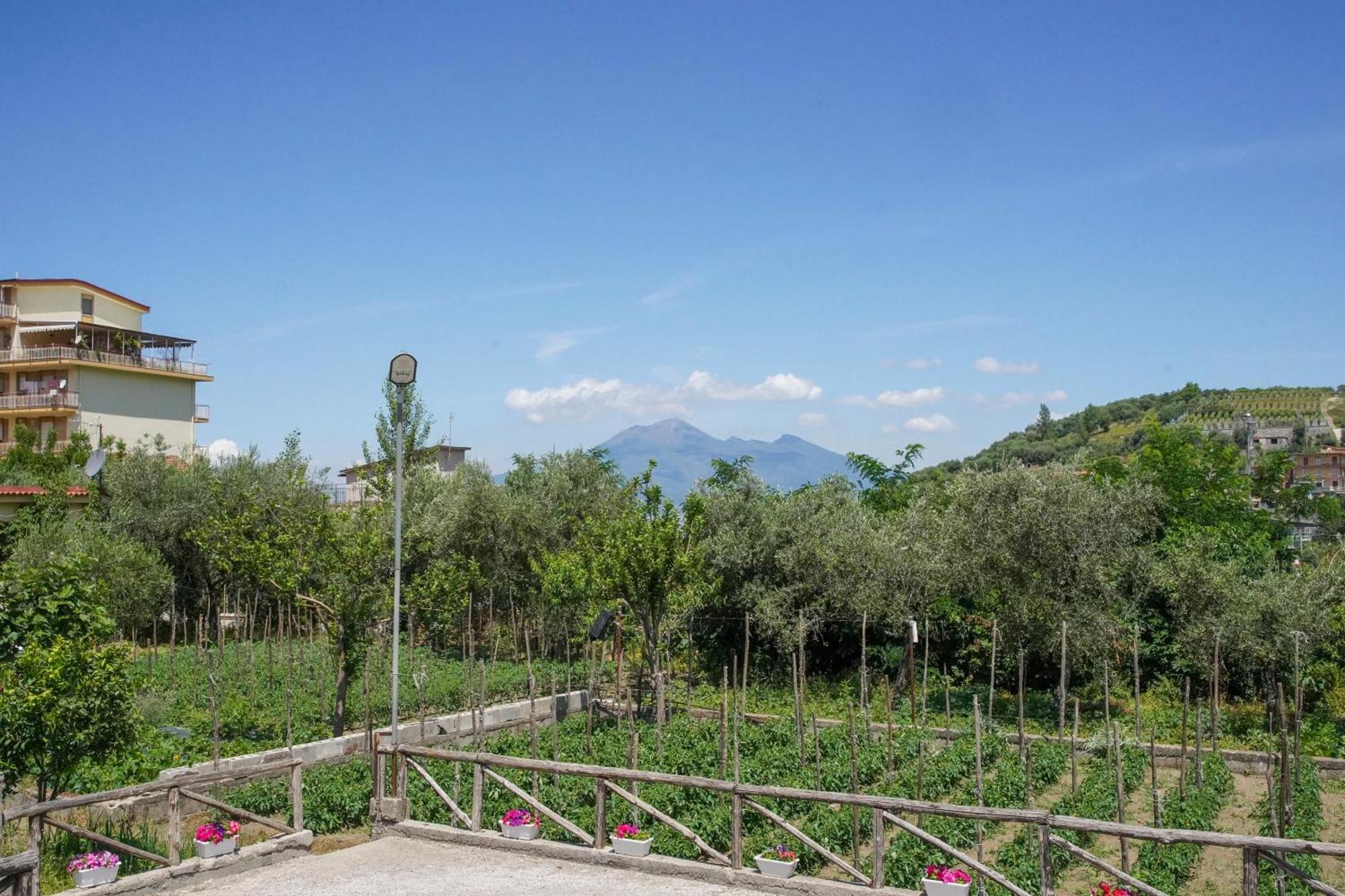 Casa Fiorita Bed & Breakfast Gragnano Exterior photo